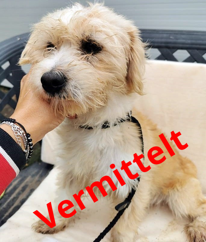 Einstein