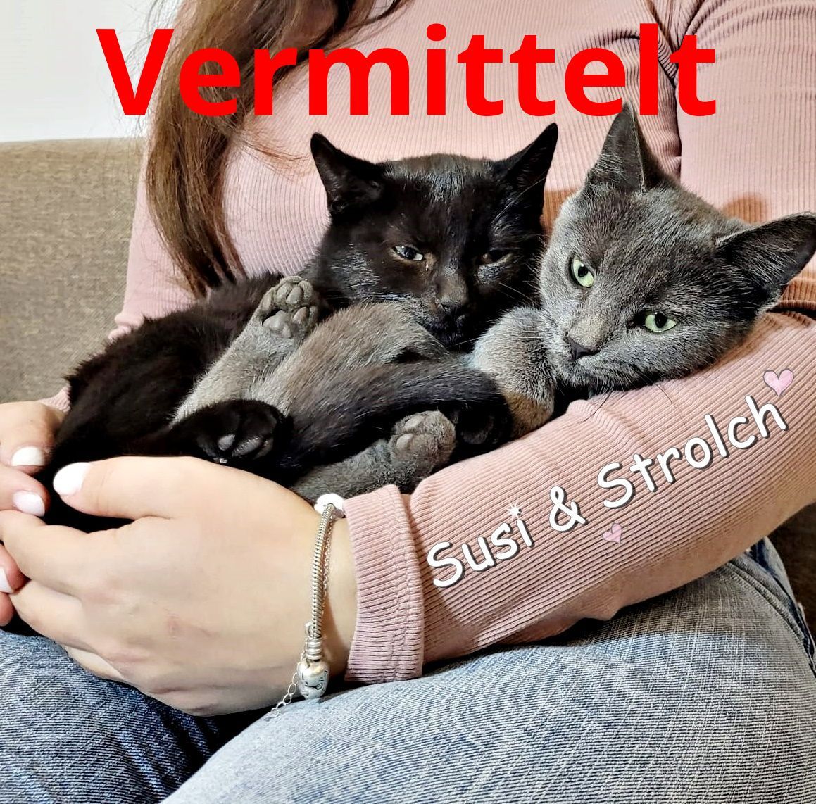 Susi und Strolch