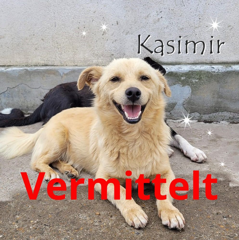Kasimir