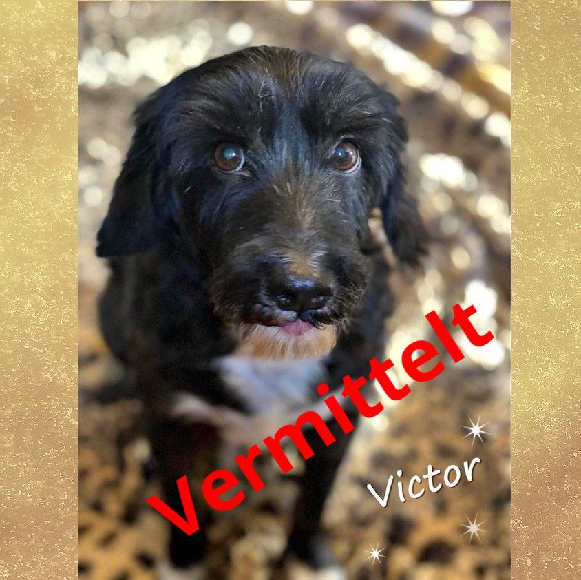 Victor