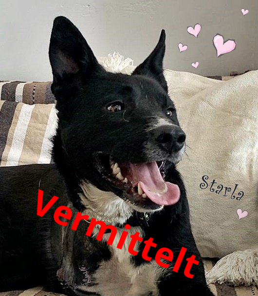 Starla