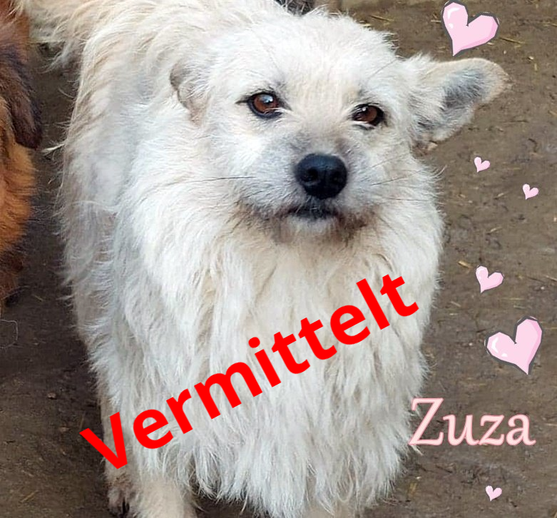 Zuza