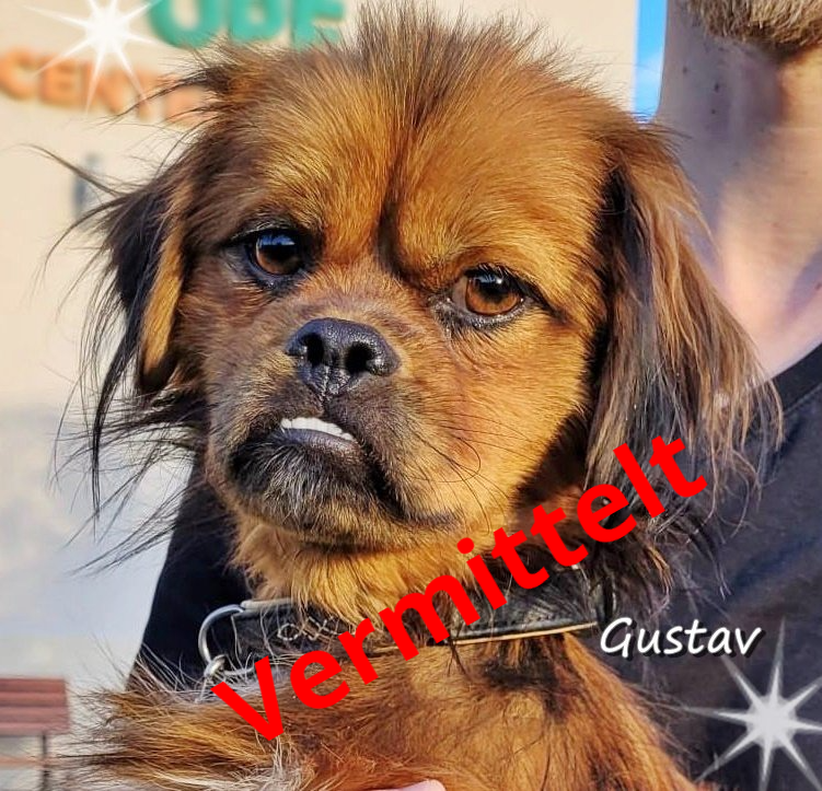 Gustav