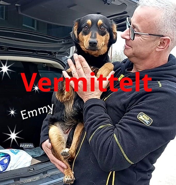 Emmy