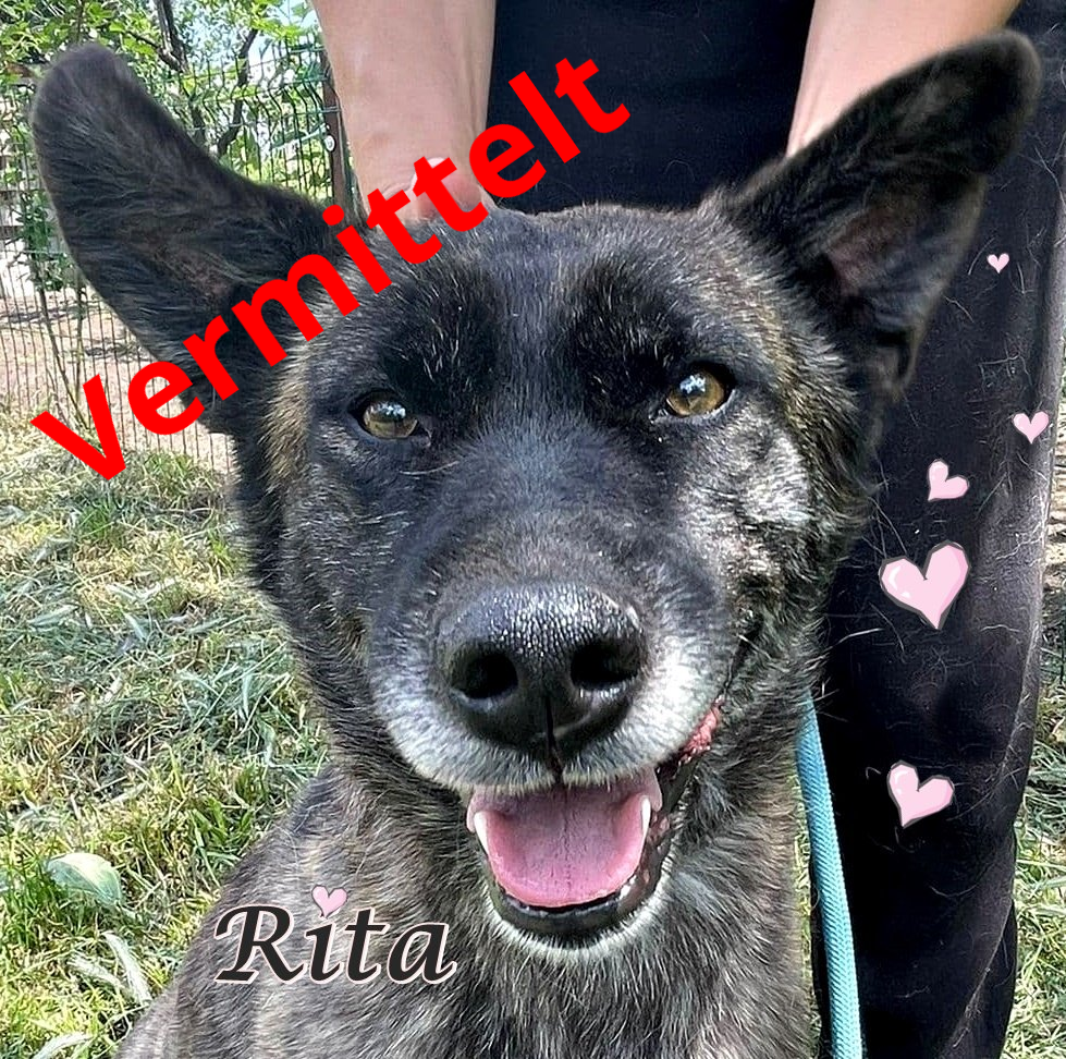Rita