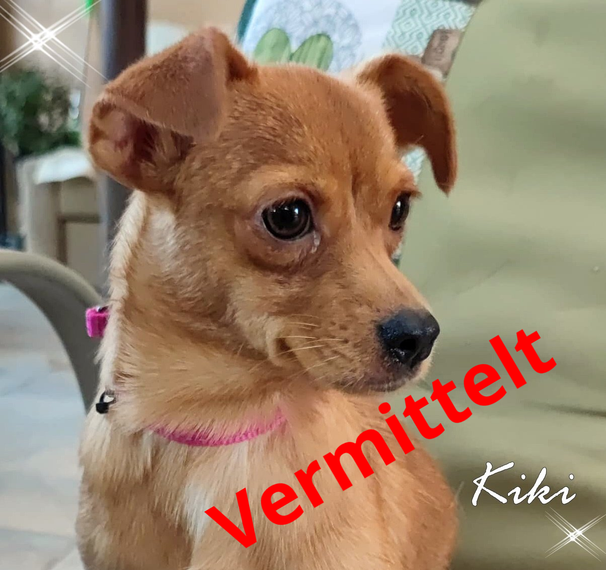 Kiki