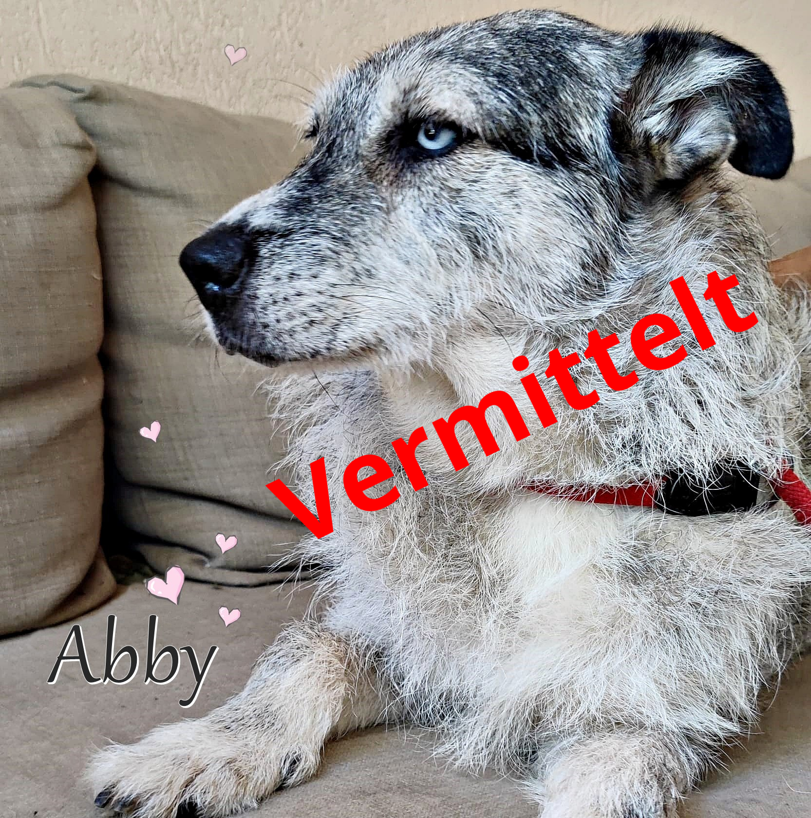 Abby