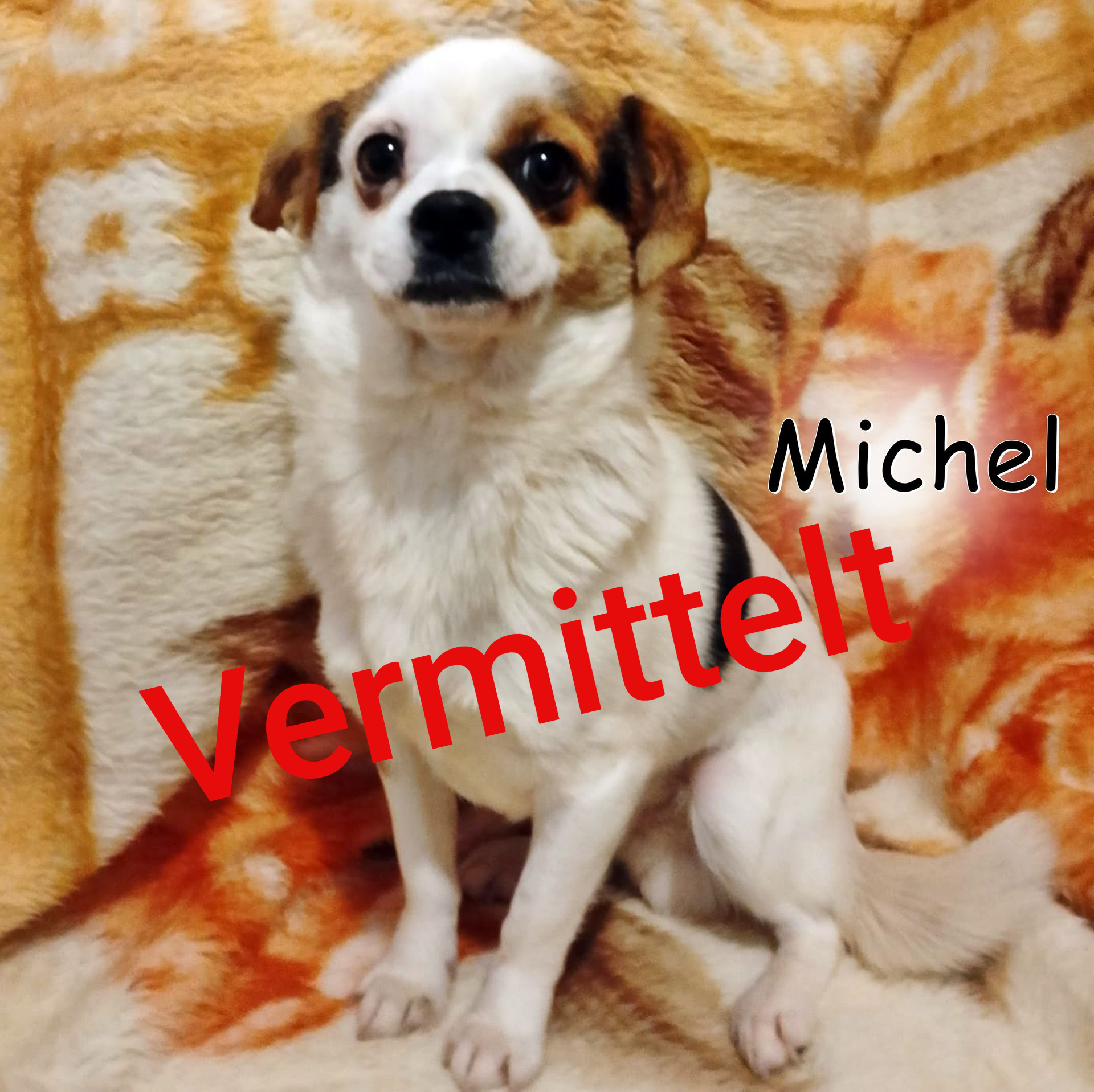 Michel
