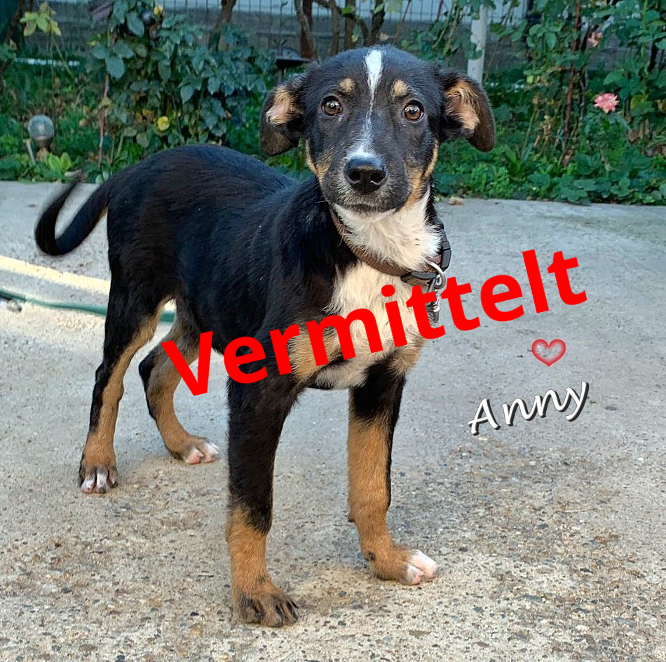 Anny