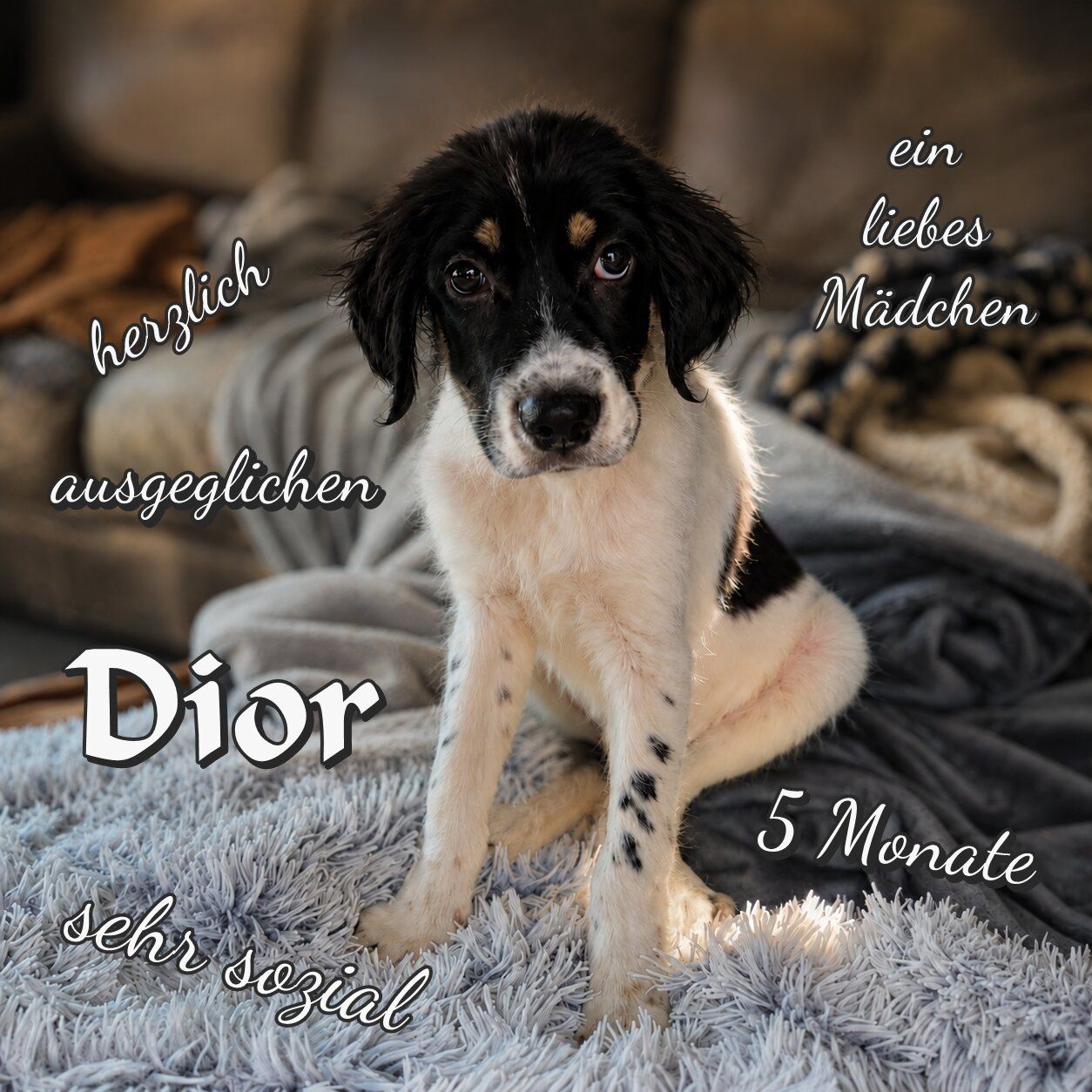 Dior