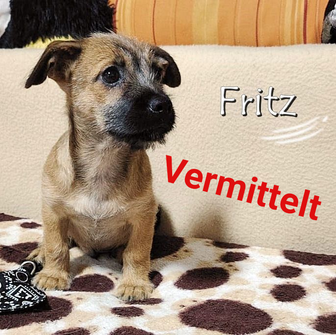 Fritz