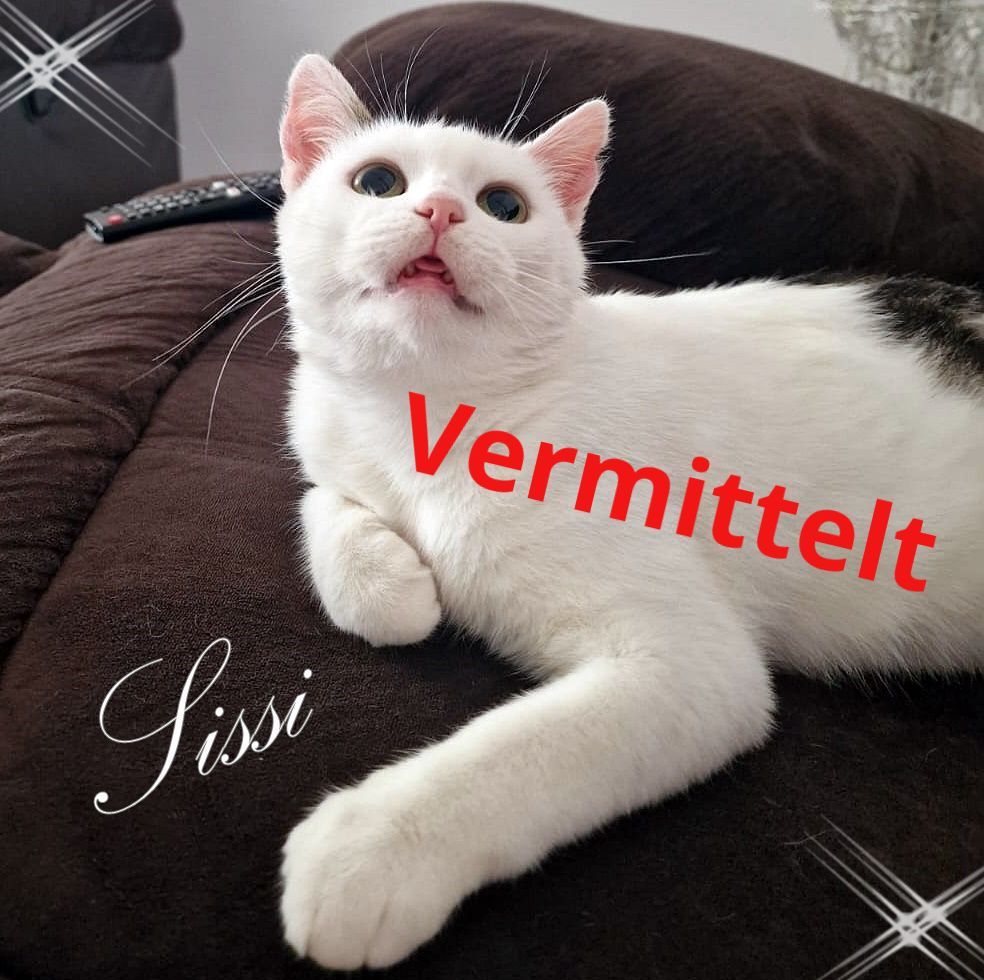 Sissi