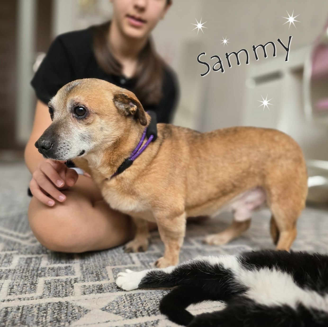 Sammy