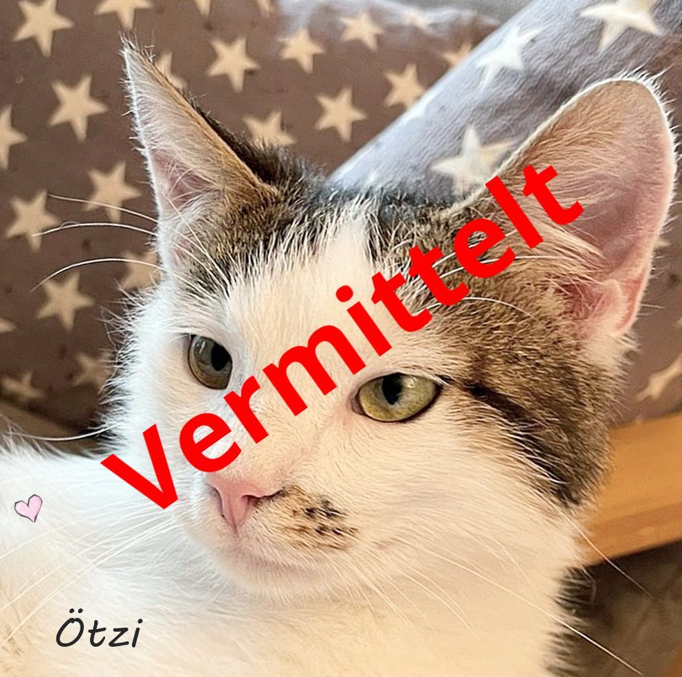 Ötzi