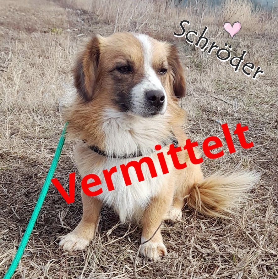 Schröder