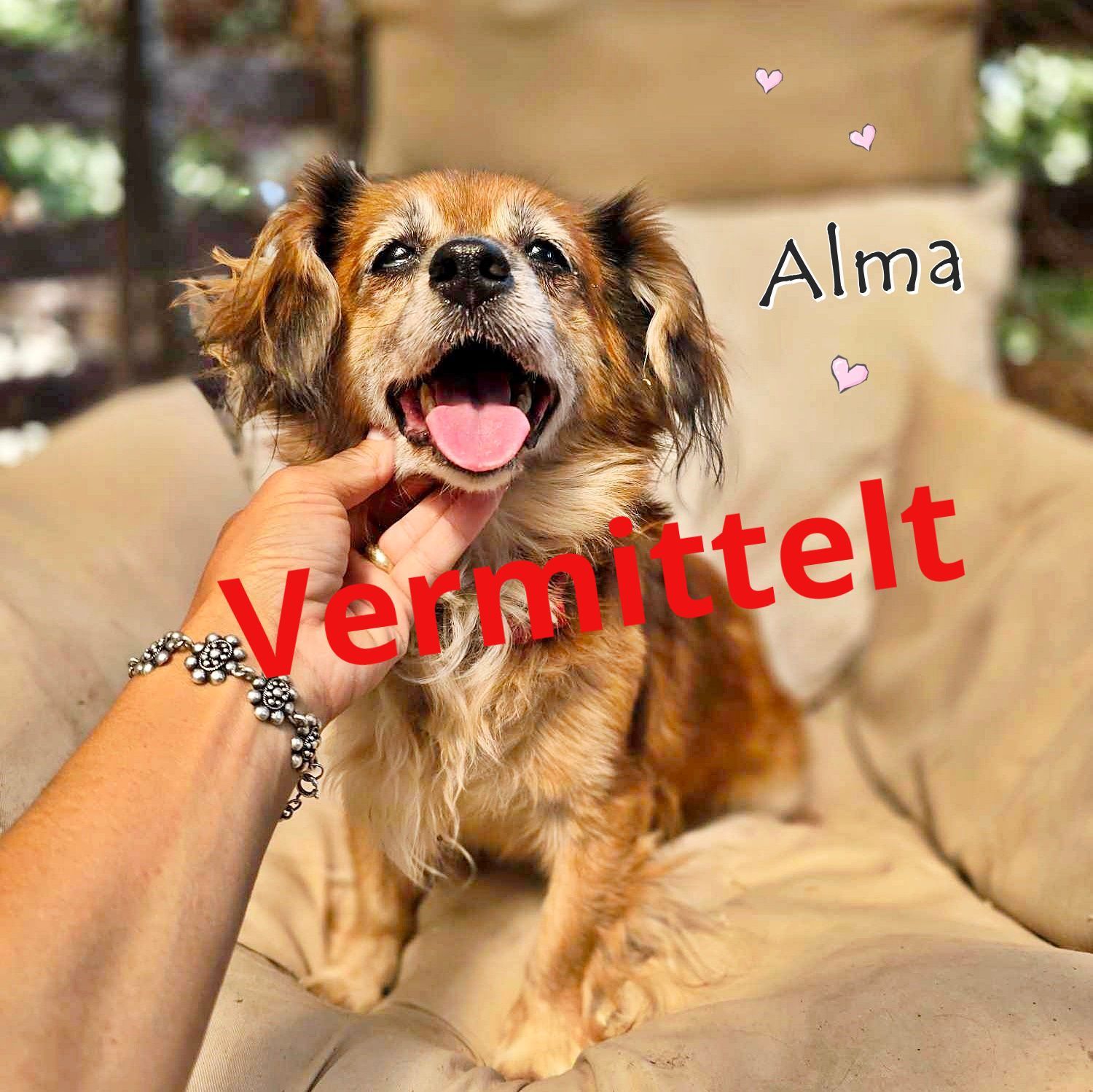 Alma