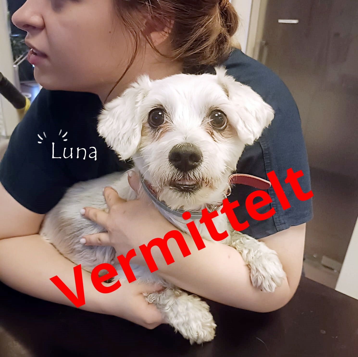 Luna
