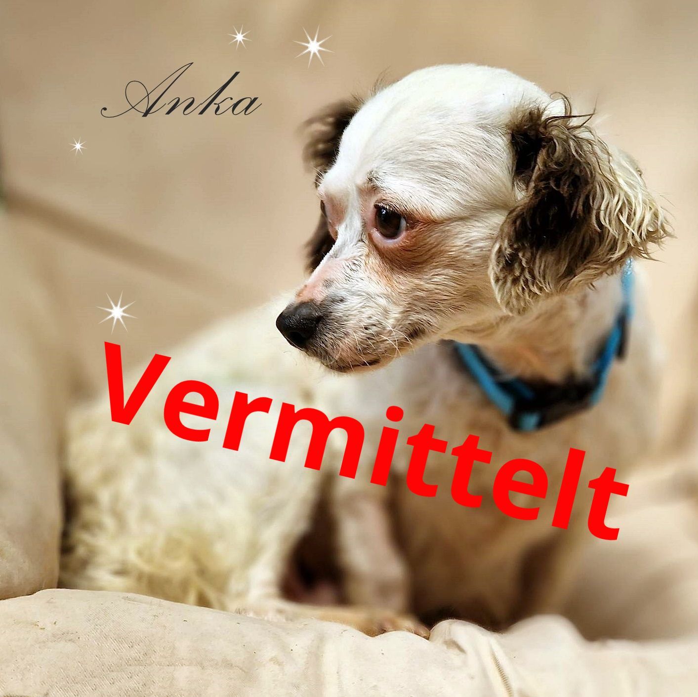 Anka