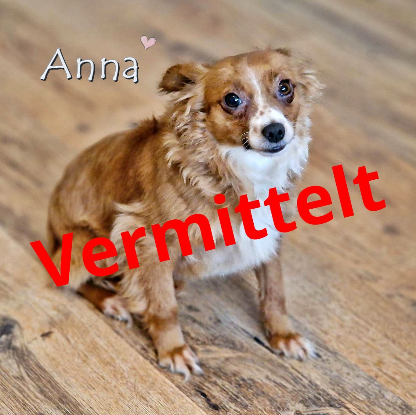 Anna