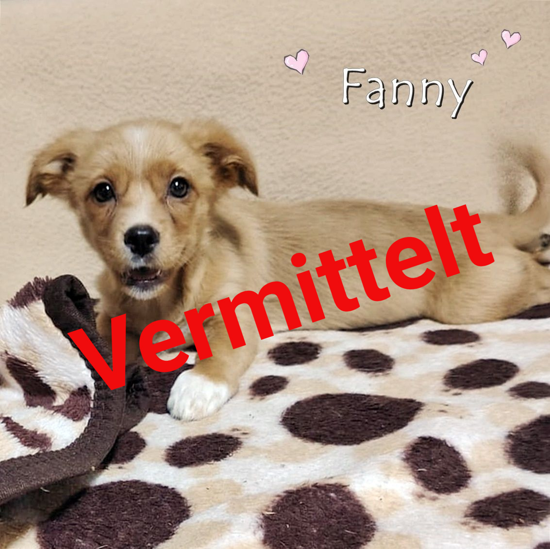 Fanny