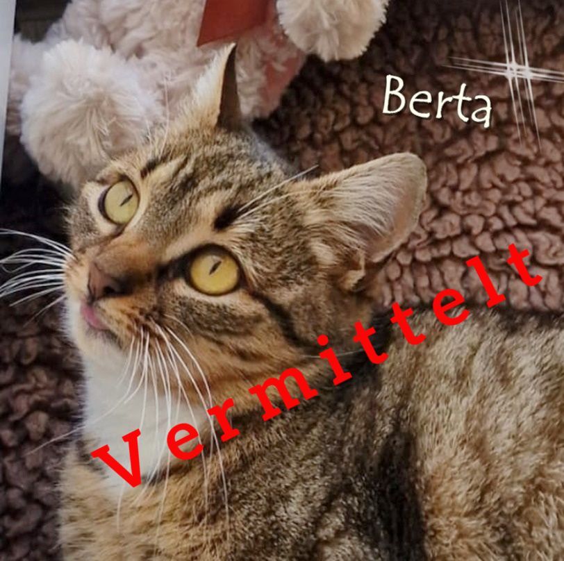 Berta