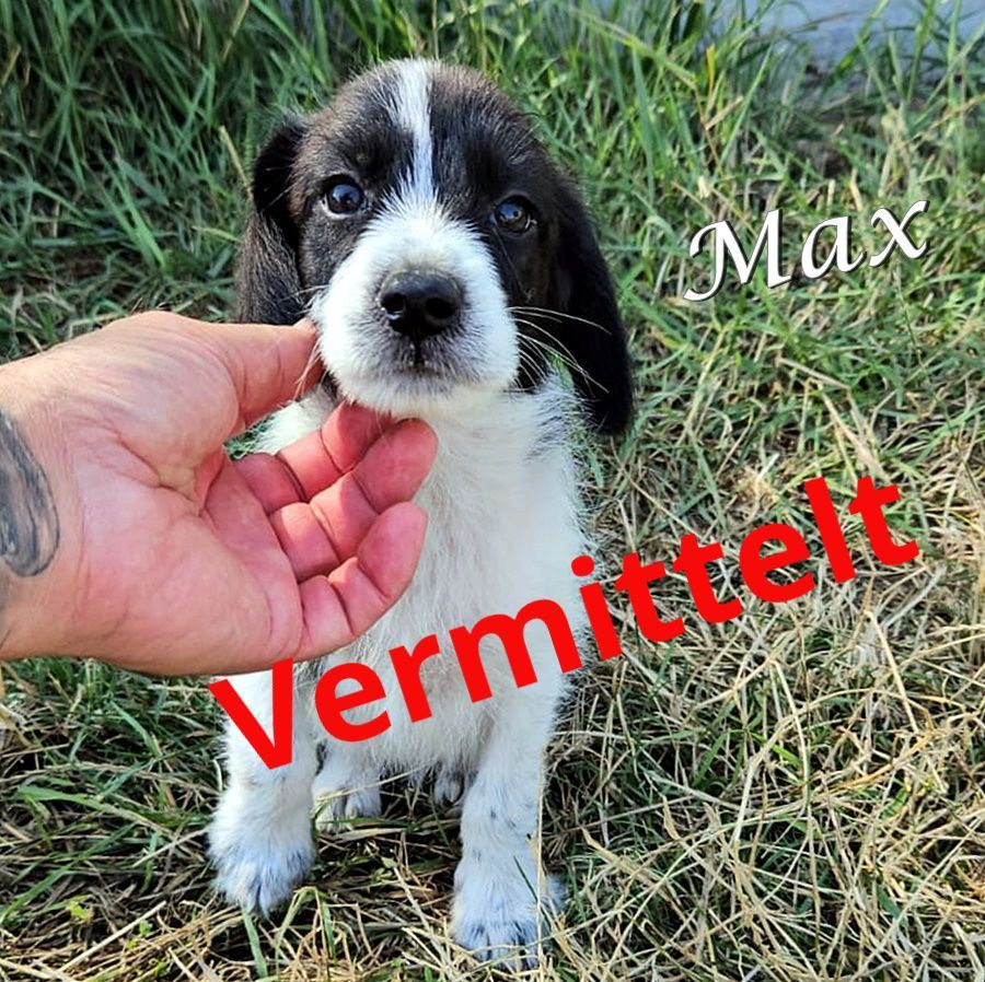 Max