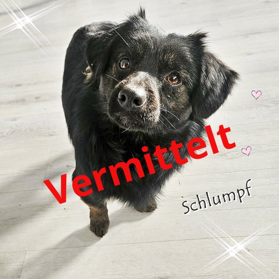Schlumpf