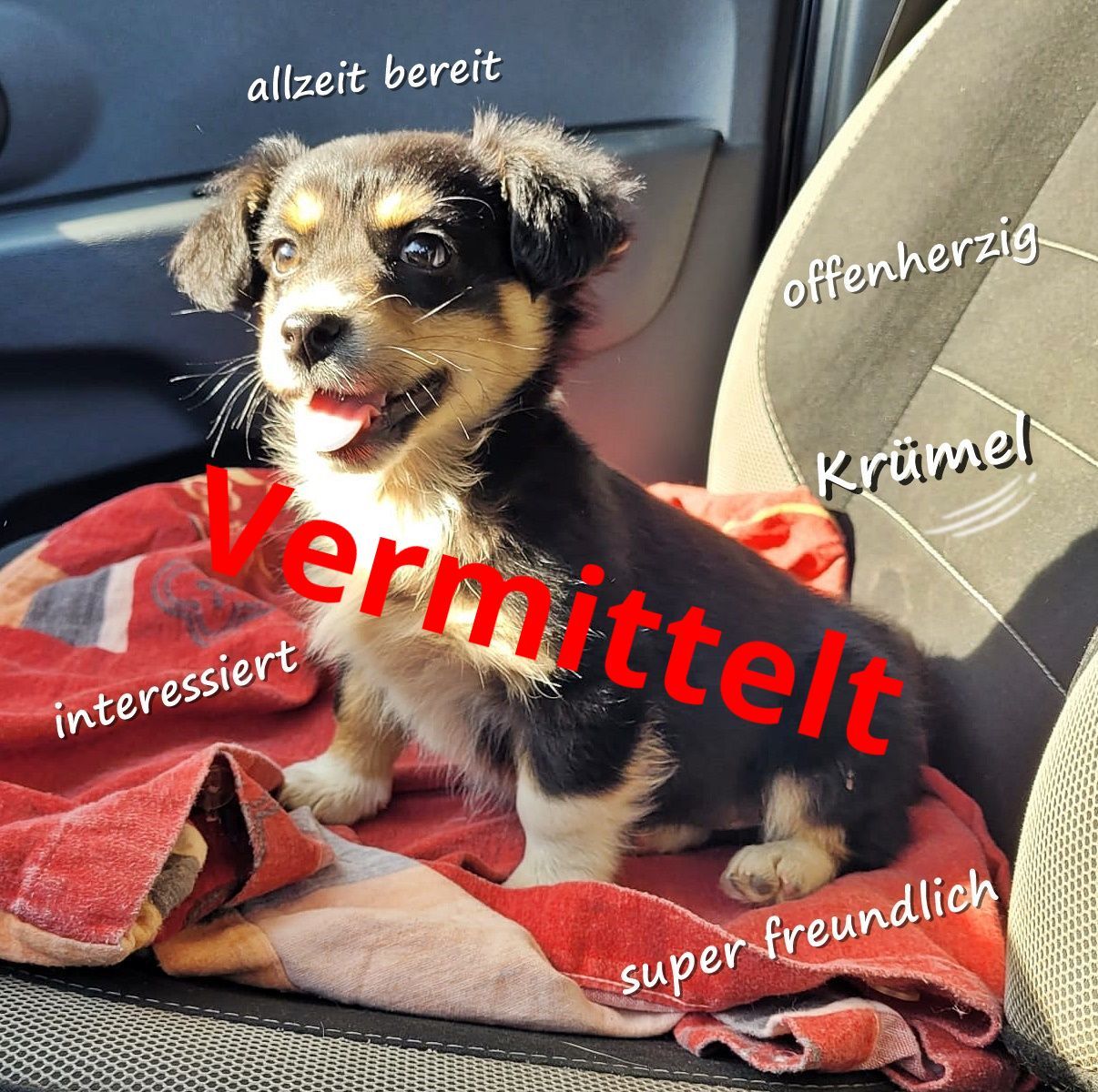 Krümel
