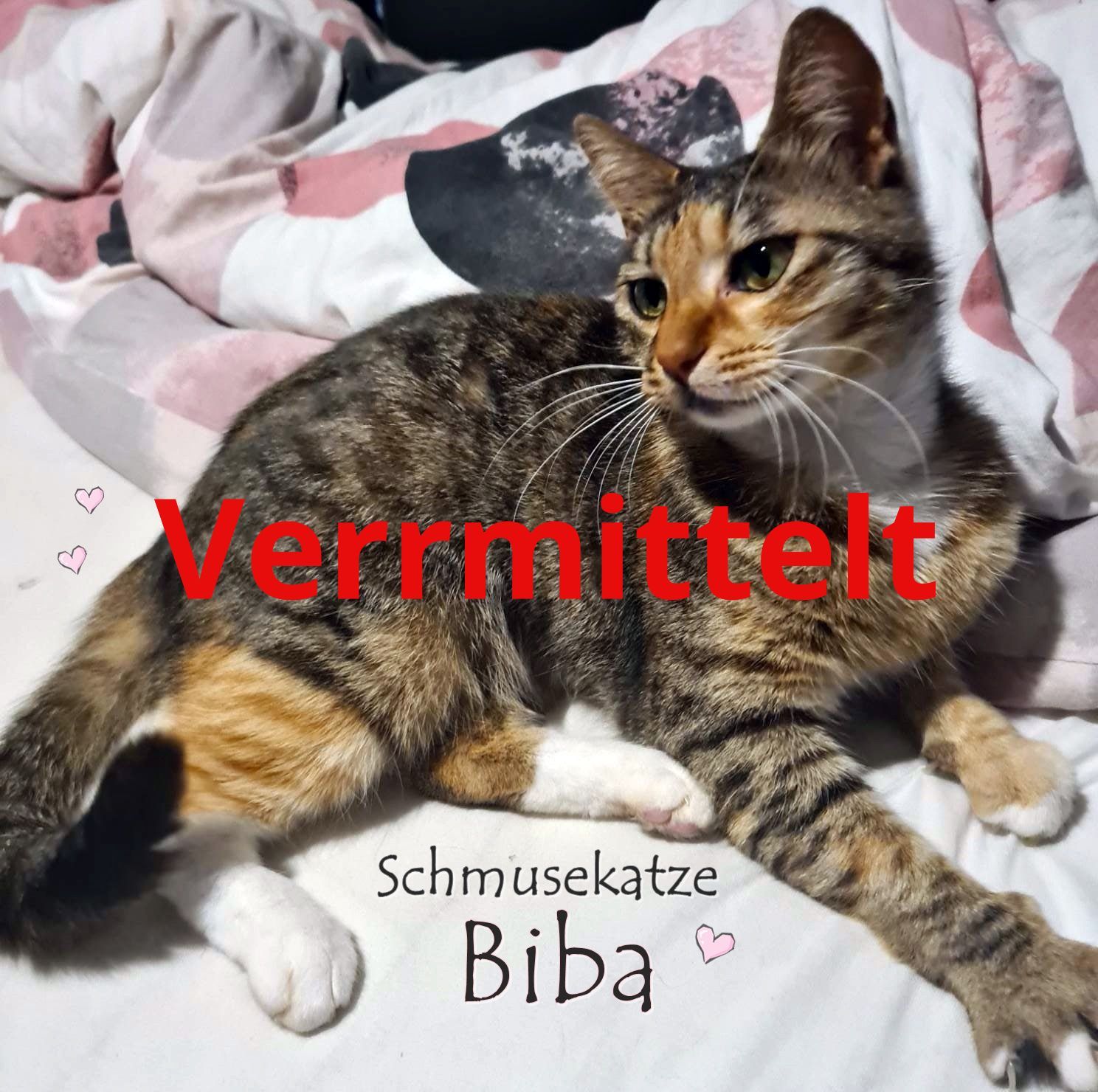 Biba