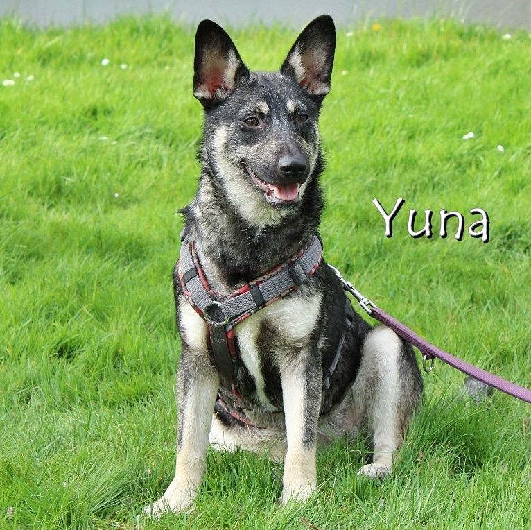 Yuna