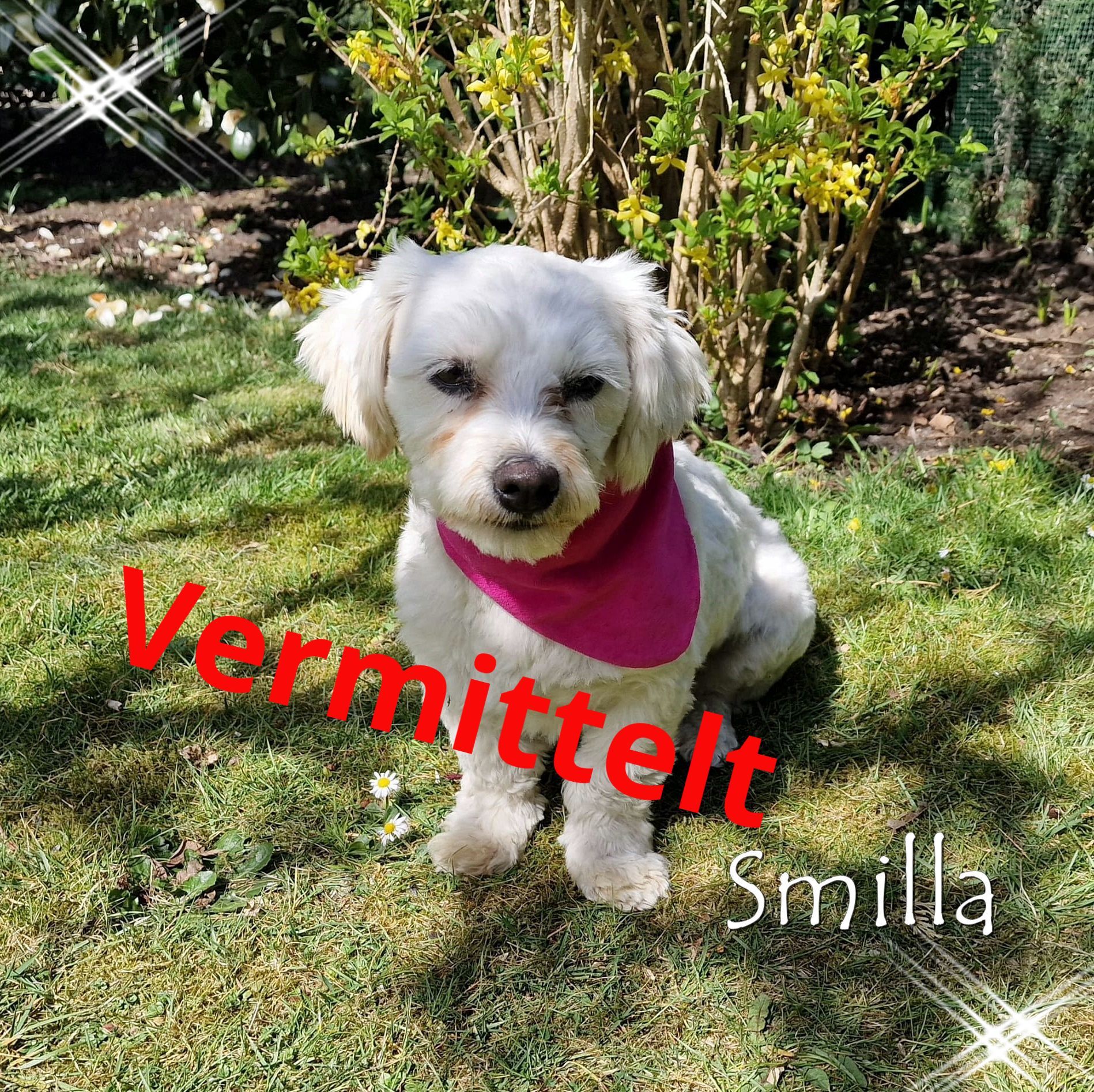 Smilla