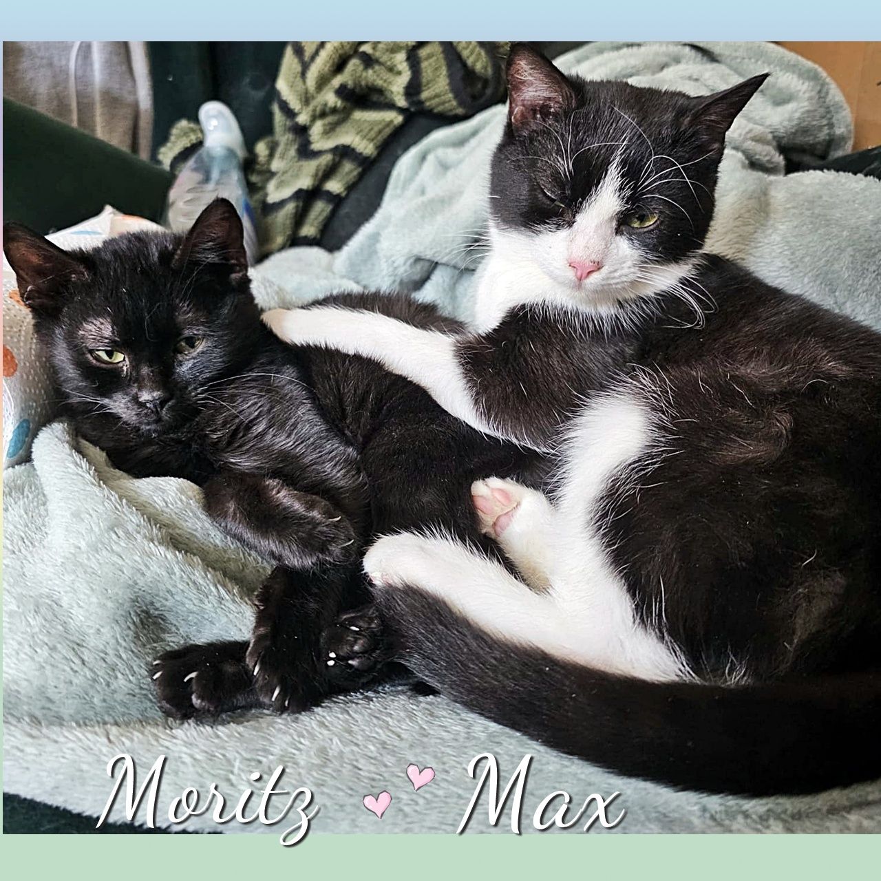 Max & Moritz