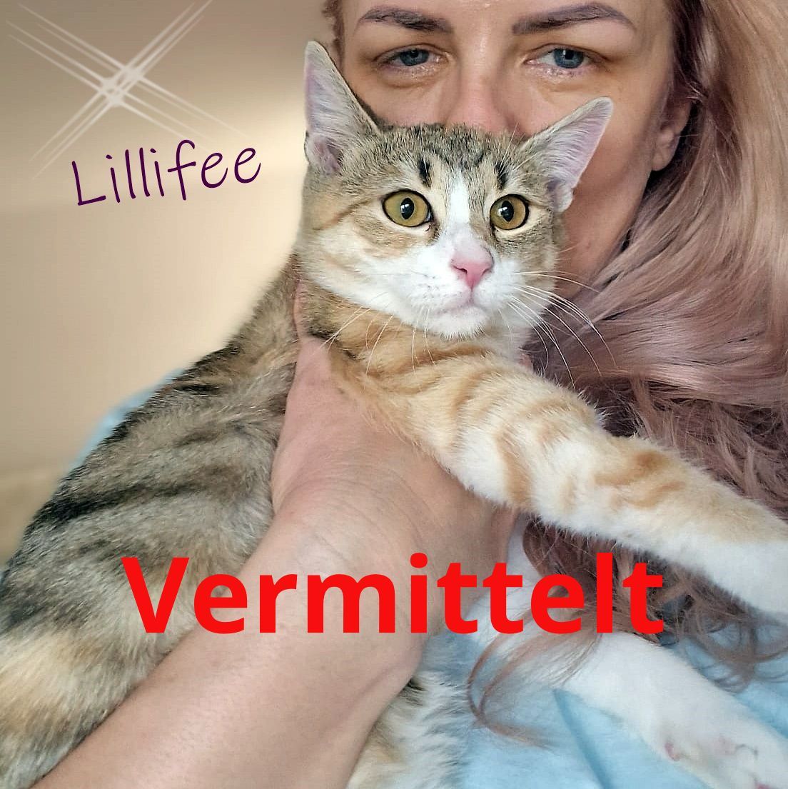 Lillifee
