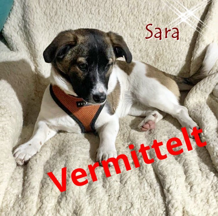 Sara