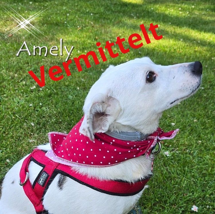 Amely