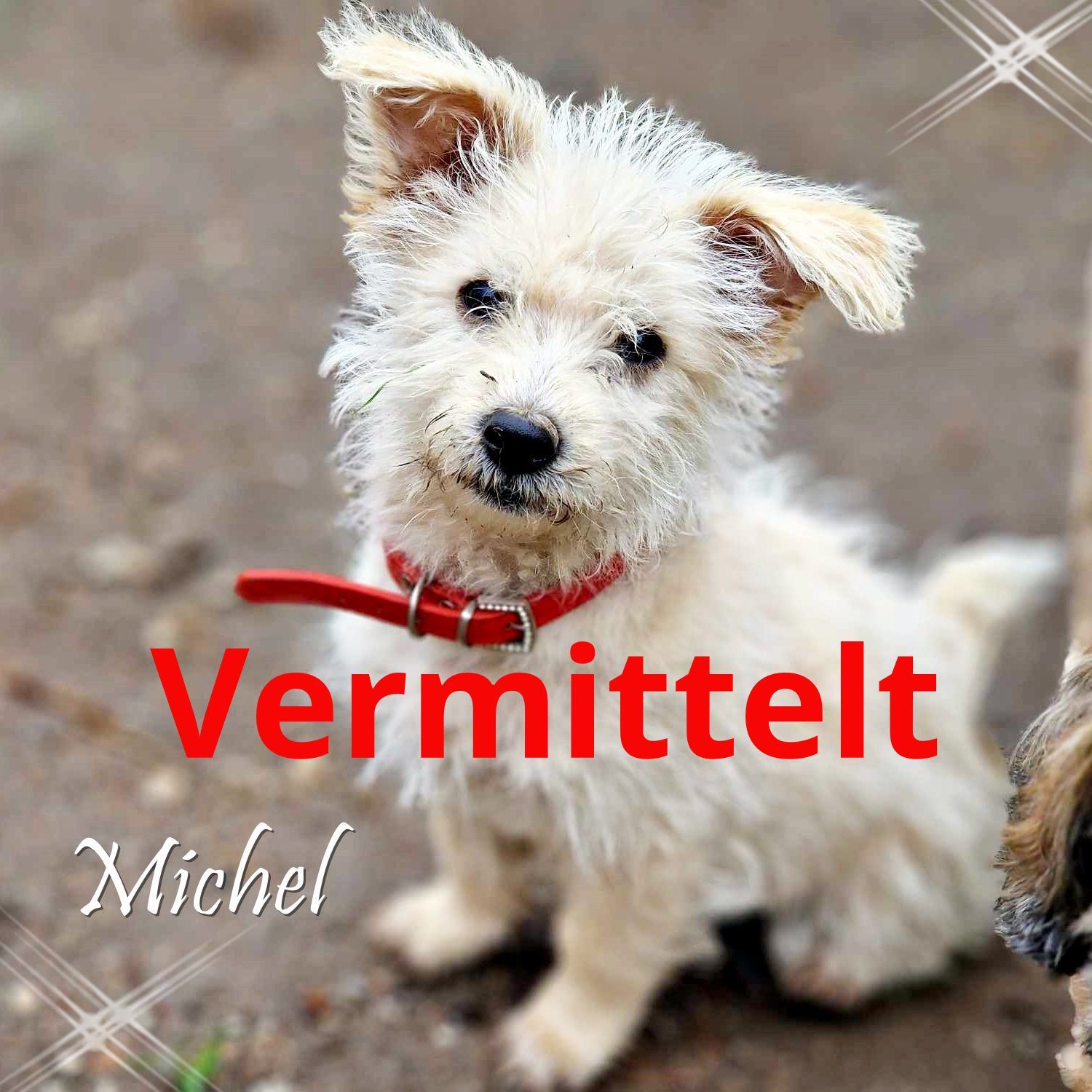 Michel