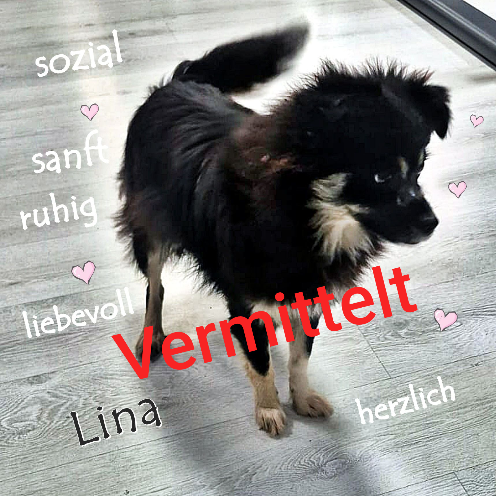 Lina