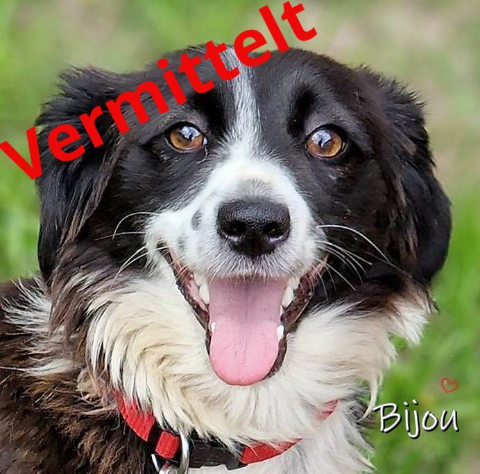 Bijou