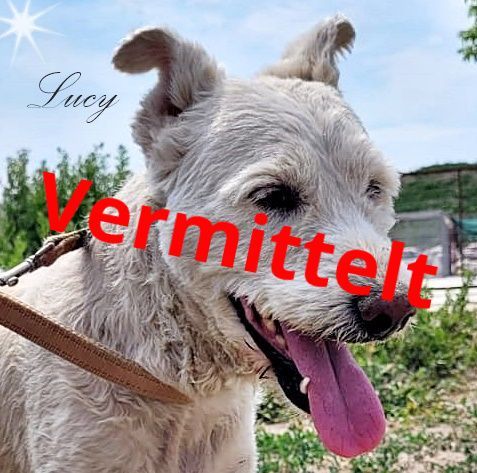Lucy