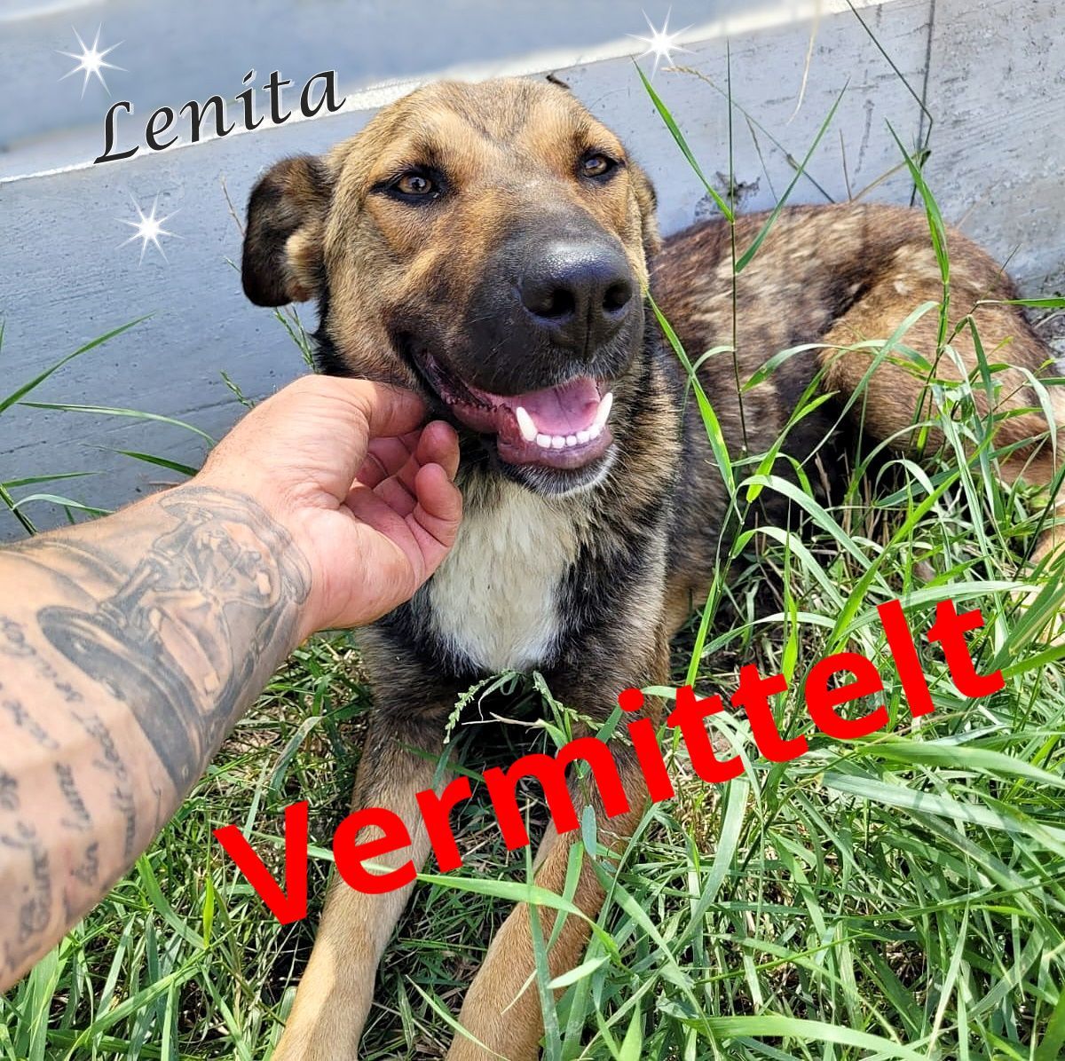 Lenita