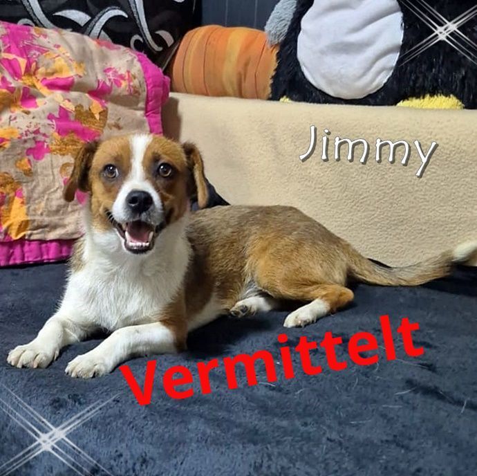 Jimmy