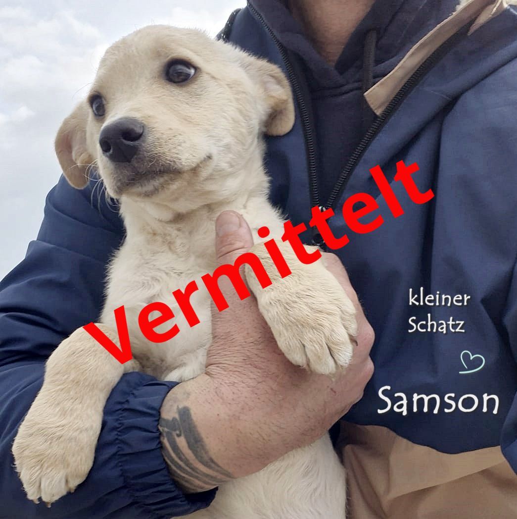 Samson