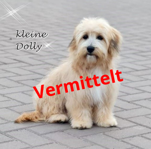 Dolly