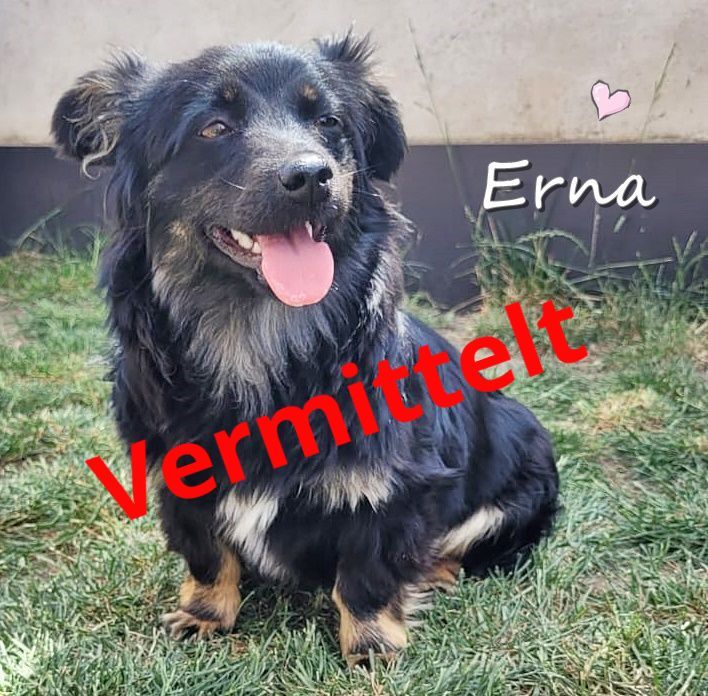 Erna