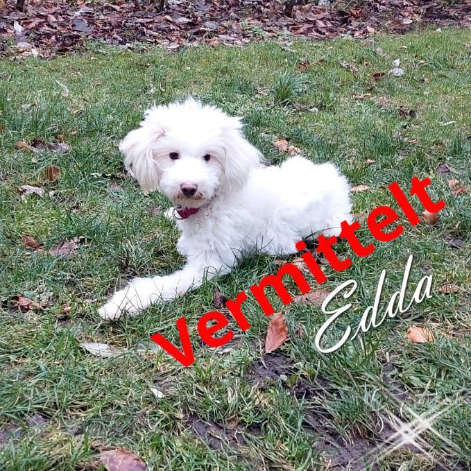 Edda