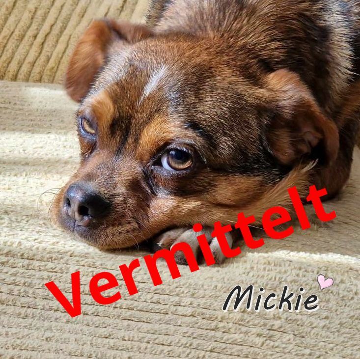 Mickie