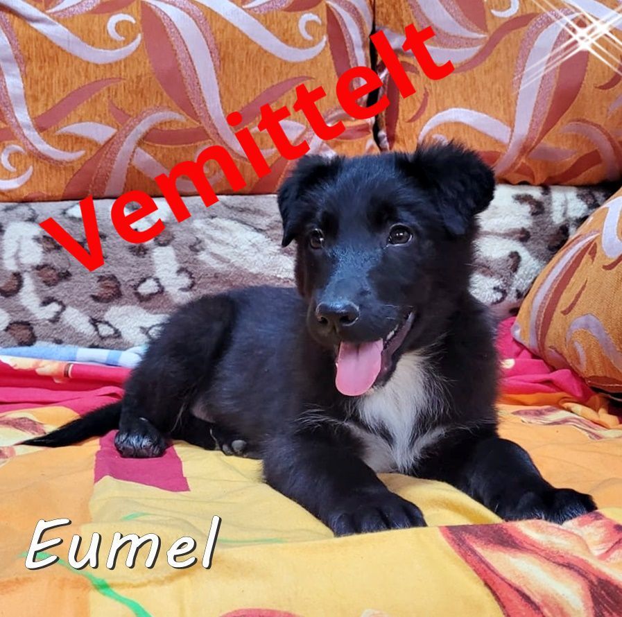 Eumel