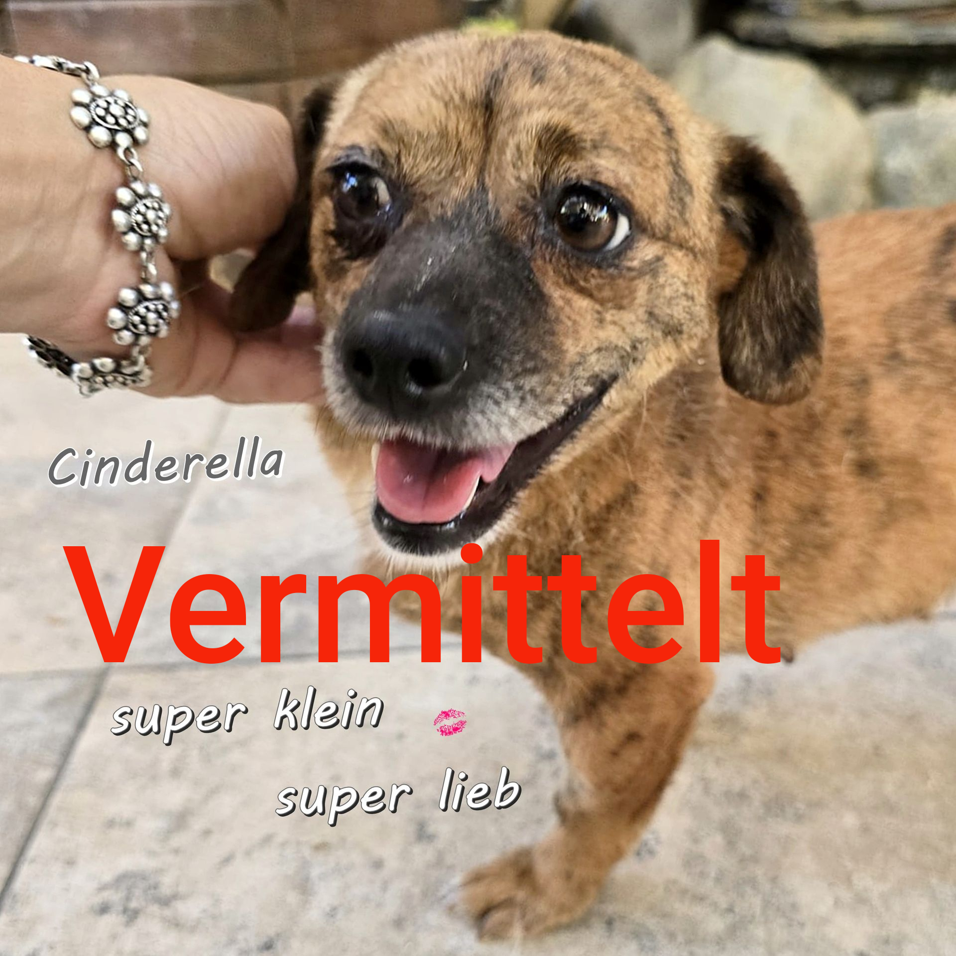 Cinderella