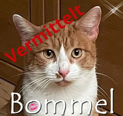 Bommel