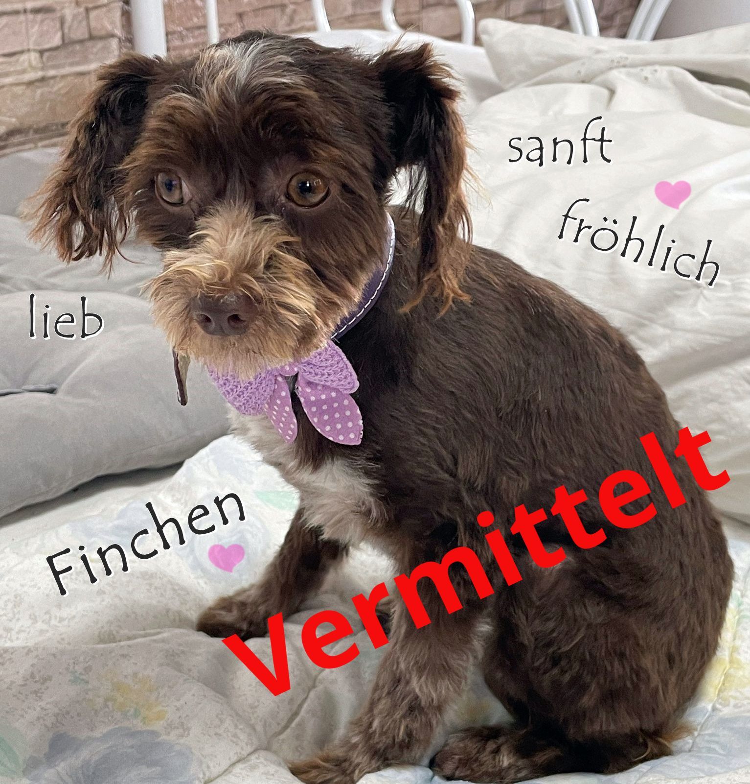 Finchen